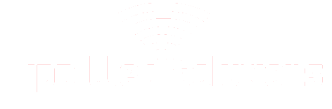 South East Web Solutions